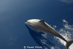 shot was made from our boat during one week diving trip a... by Marek Mihok 